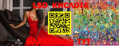 шишки Славгород
