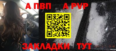 шишки Славгород