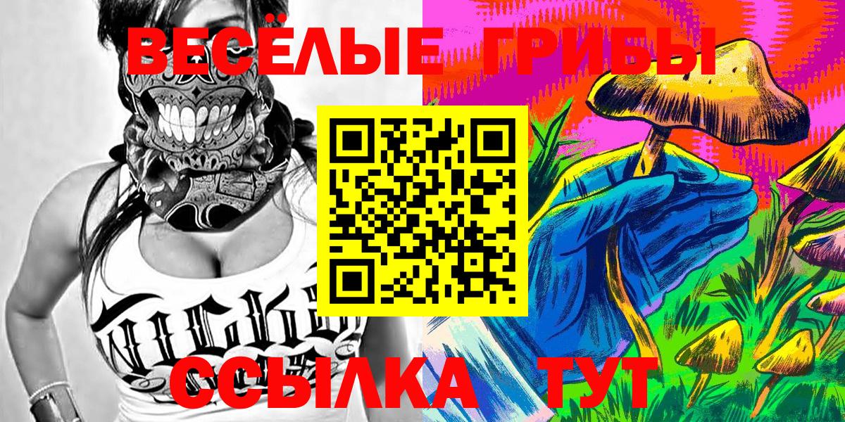 Осинники  Псилоцибиновые грибы Psilocybine cubensis  Вход с VPN 
