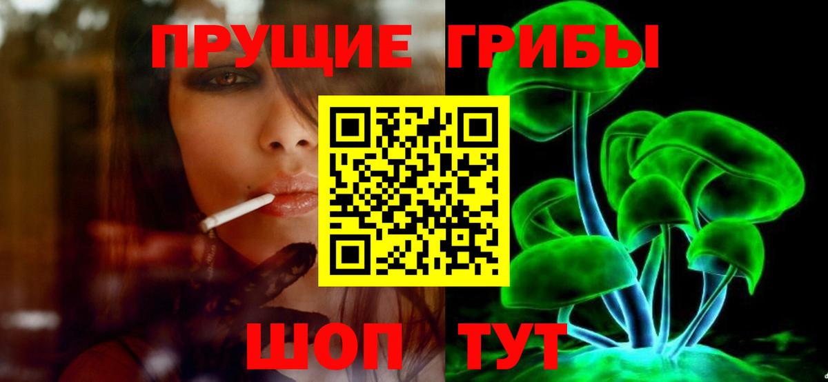 Псилоцибиновые грибы Cubensis Осинники