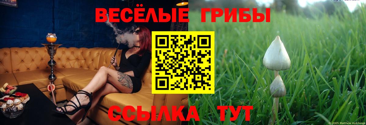 Гашиш  Вход с VPN  МЕФ кристаллы  КОКАИН  Лсд 25  Осинники  ГАШ  Марихуана 