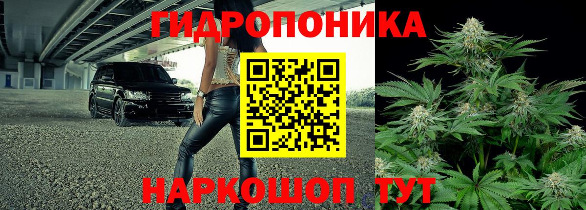 Каннабис марихуана  Вход с VPN  Бошки марихуана Amnesia  МАРИХУАНА тримм  Осинники 